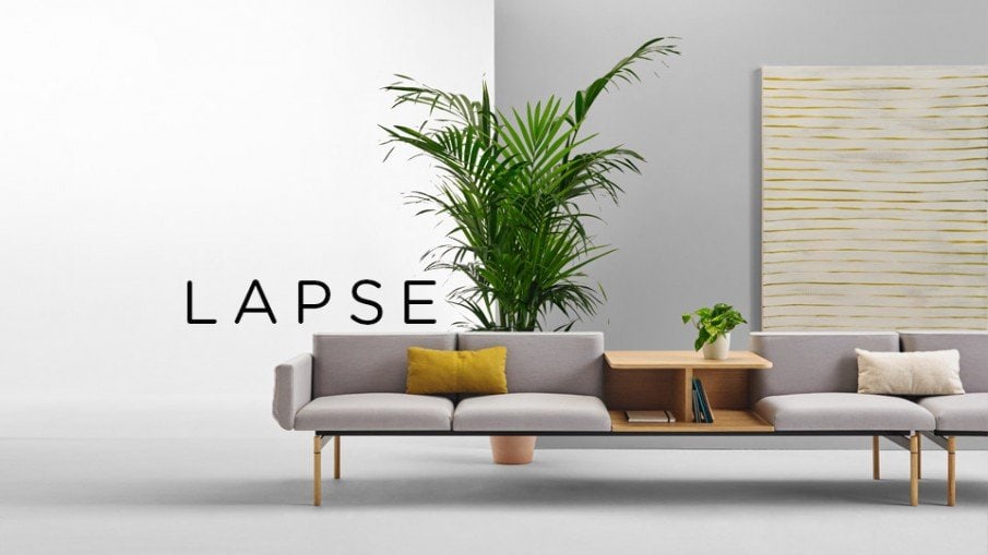 Introducing Lapse